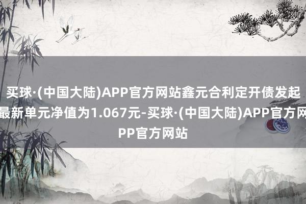 买球·(中国大陆)APP官方网站鑫元合利定开债发起式最新单元净值为1.067元-买球·(中国大陆)APP官方网站