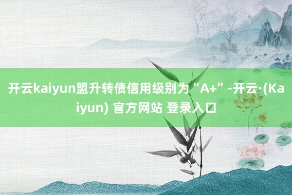 开云kaiyun盟升转债信用级别为“A+”-开云·(Kaiyun) 官方网站 登录入口